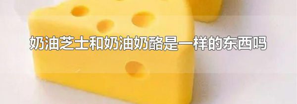 奶油芝士和奶油奶酪是一样的东西吗
