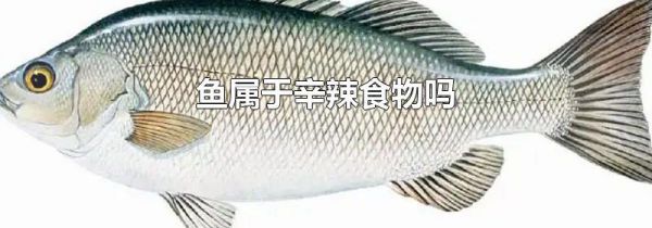 鱼属于辛辣食物吗