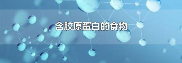 含胶原蛋白的食物