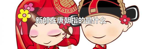 新郎在唐朝指的是什么