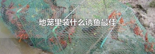 地笼里装什么诱鱼最佳