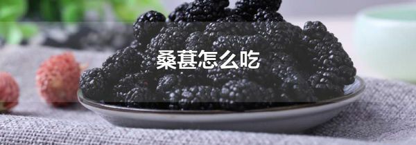 桑葚怎么吃