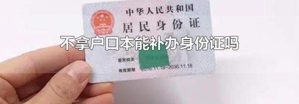 不拿户口本能补办身份证吗