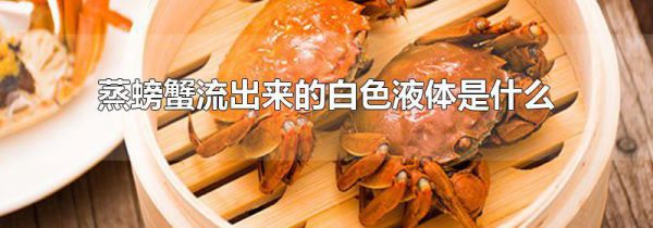 蒸螃蟹流出来的白色液体是什么