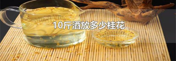 10斤酒放多少桂花