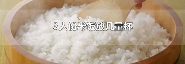 3人份米饭放几量杯