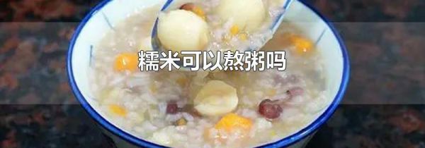 糯米可以熬粥吗