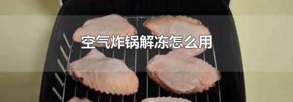 空气炸锅解冻怎么用