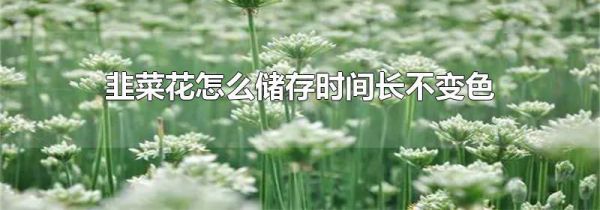 韭菜花怎么储存时间长不变色