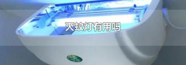 灭蚊灯有用吗