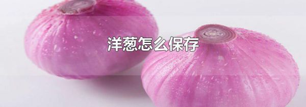 洋葱怎么保存