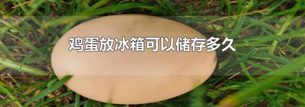 鸡蛋放冰箱可以储存多久