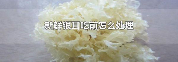 新鲜银耳吃前怎么处理