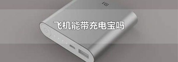 飞机能带充电宝吗