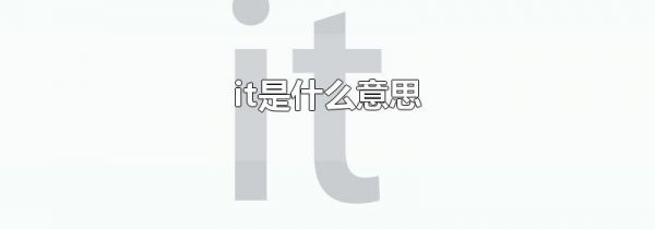it是什么意思