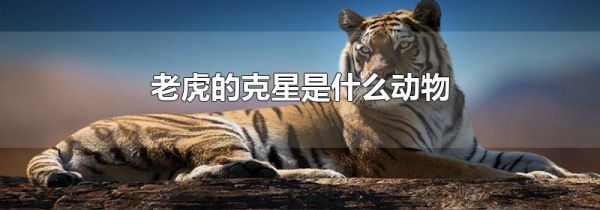 老虎的克星是什么动物