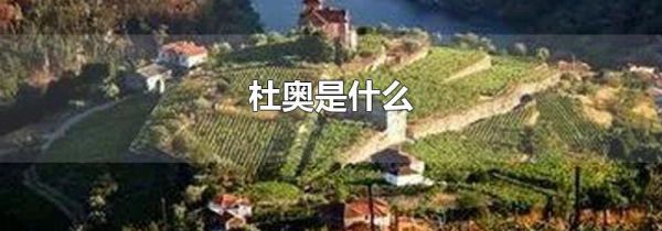 杜奥是什么