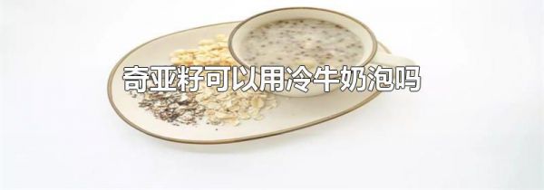 奇亚籽可以用冷牛奶泡吗