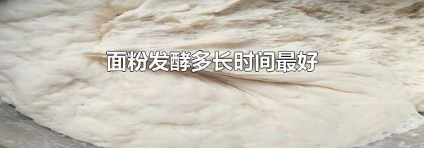 面粉发酵多长时间最好