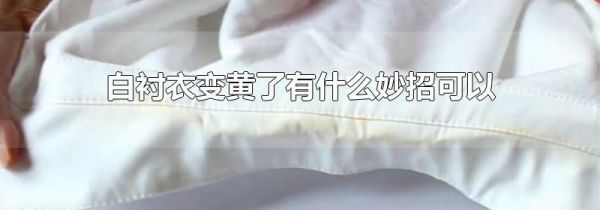 白衬衣变黄了有什么妙招可以变白