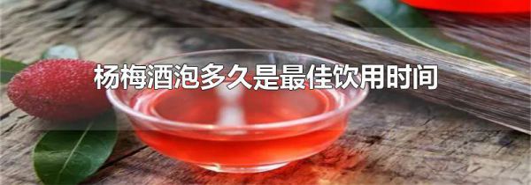 杨梅酒泡多久是最佳饮用时间