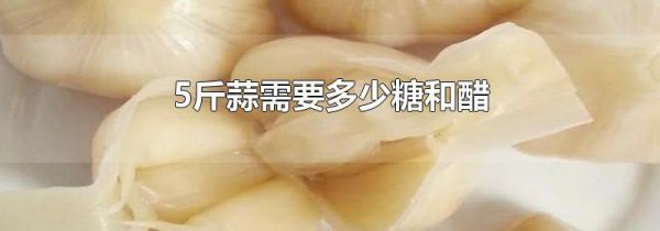 5斤蒜需要多少糖和醋