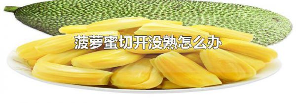 菠萝蜜切开没熟怎么办