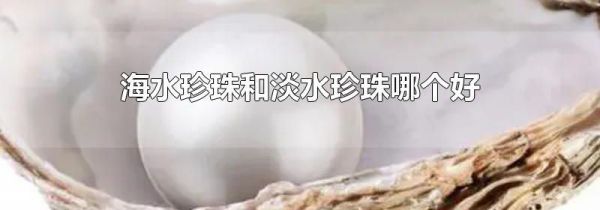 海水珍珠和淡水珍珠哪个好