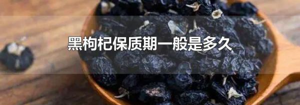 黑枸杞保质期一般是多久