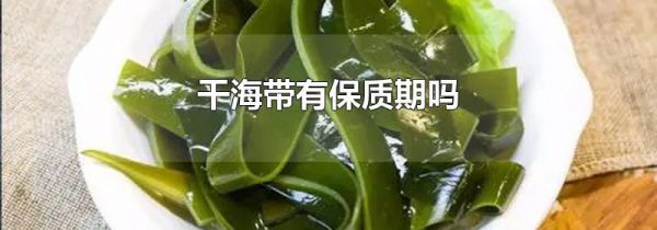 干海带有保质期吗