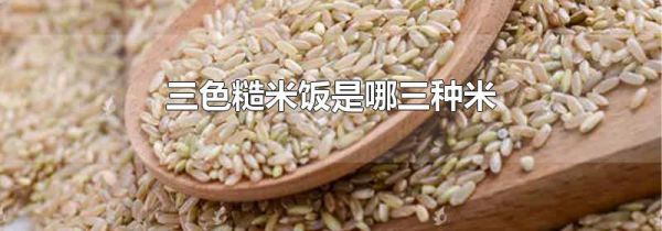 三色糙米饭是哪三种米