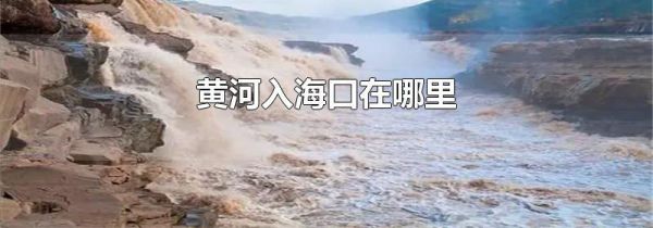 黄河入海口在哪里