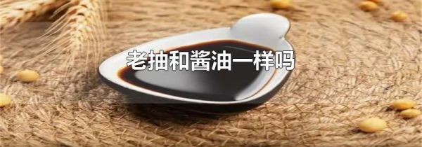 老抽和酱油一样吗