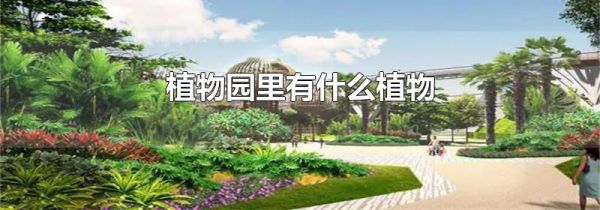植物园里有什么植物