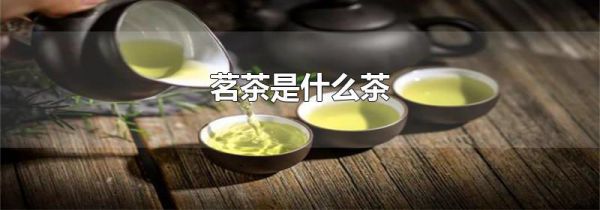 茗茶是什么茶