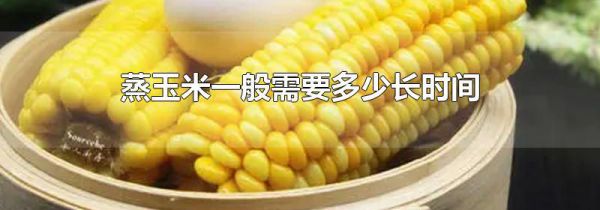蒸玉米一般需要多少长时间