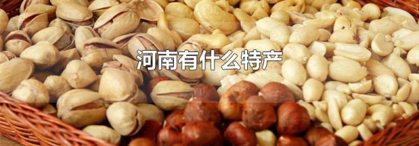 河南有什么特产