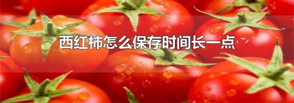 西红柿怎么保存时间长一点