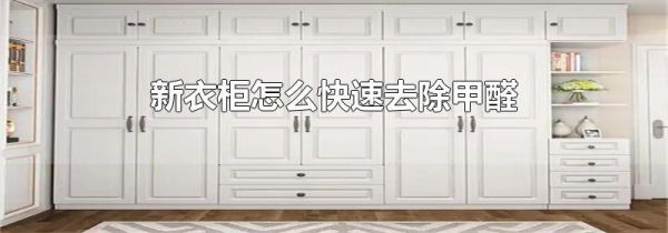 新衣柜怎么快速去除甲醛