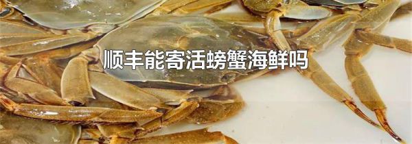 顺丰能寄活螃蟹海鲜吗