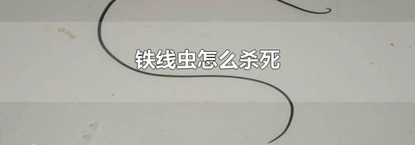 铁线虫怎么杀死