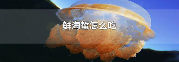 鲜海蜇怎么吃