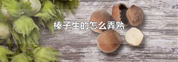 榛子生的怎么弄熟