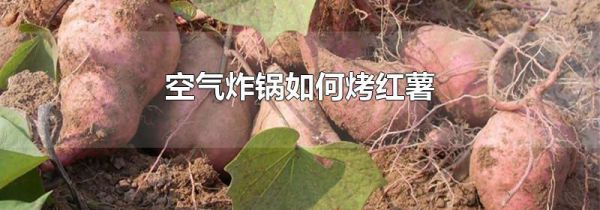 空气炸锅如何烤红薯