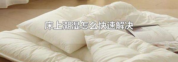 床上潮湿怎么快速解决