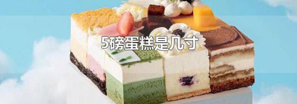 5磅蛋糕是几寸