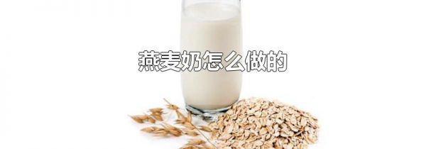 燕麦奶怎么做的