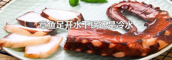 章鱼足开水下锅还是冷水