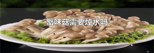 蟹味菇需要焯水吗