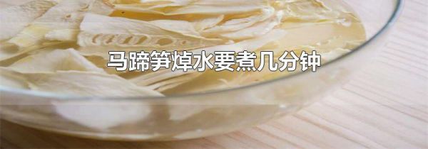 马蹄笋焯水要煮几分钟